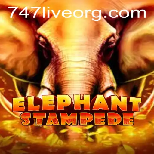 ElephantStampede: The Exciting Rush of 747 Live Gaming